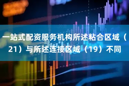 一站式配资服务机构所述粘合区域（21）与所述连接区域（19）不同