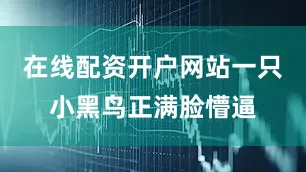 在线配资开户网站一只小黑鸟正满脸懵逼